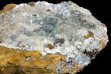 Blue Bladed Barite Crystal Clusters on Calcite  - Morocco #137009-2